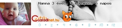 Kép