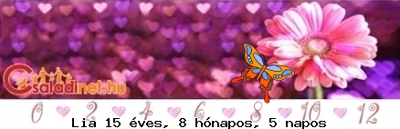 Kép