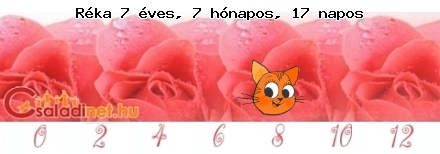 Kép