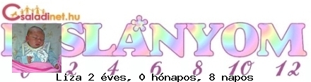 Kép