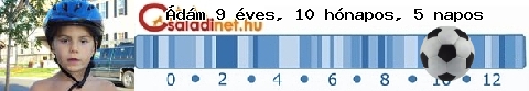 Kép