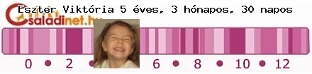 Kép