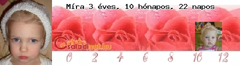Kép
