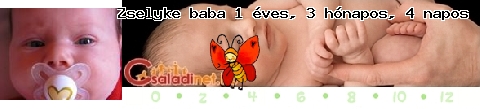 Kép