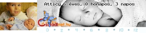 Kép