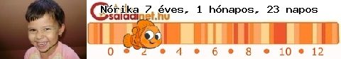 Kép