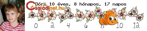 Kép