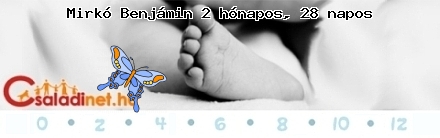 Kép