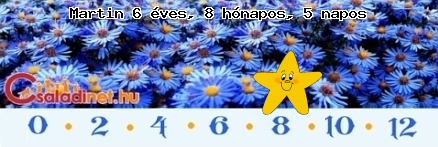 Kép