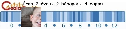 Kép