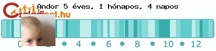 Kép