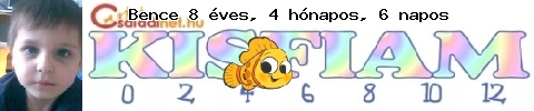 Kép