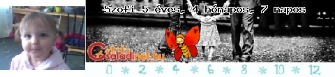 Kép