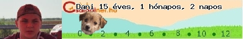 Kép