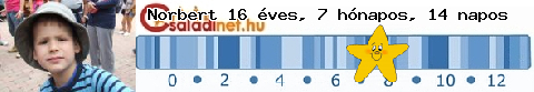 Kép