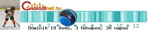 Kép