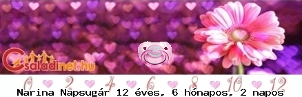 Kép