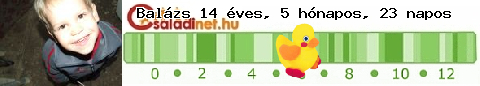 Kép