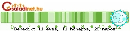 Kép