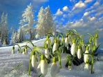 hóbanhóvirág0211.jpg