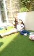IMG-20160608-WA0002.jpg