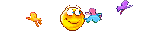 butterfly.gif