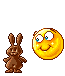 csokinyl.gif