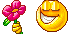 hapci.gif