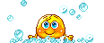 pancs.gif