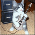 cat-play-guitar.gif