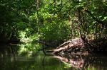 Tisza tavi Rezervtum