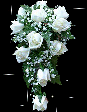 fehér rózsa.gif