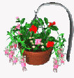 flowerbasket3.gif