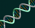 dna_rgb_245x.gif