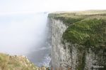 bempton[3].JPG